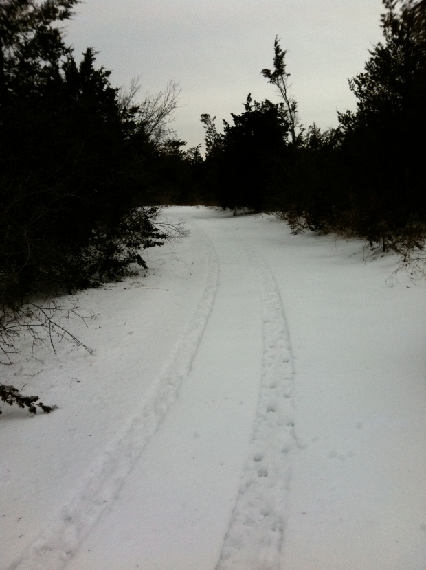 Hiking through the deep snow, I broke through the scrub brush and came across the ring track. ATVs have used it.