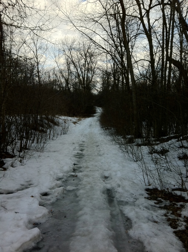 The abandoned Wright farm road leading to the site of his original cabin, possibly the oldest in the Capital Region.